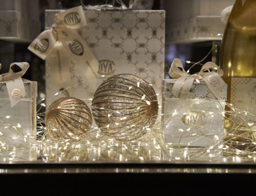 ⁠Vetrine di Natale Christmas Shop Windows