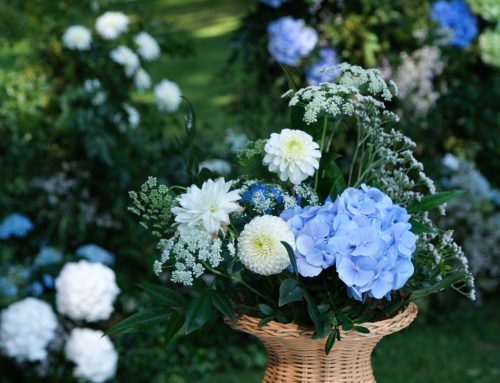 Amore in FioreLove in Bloom